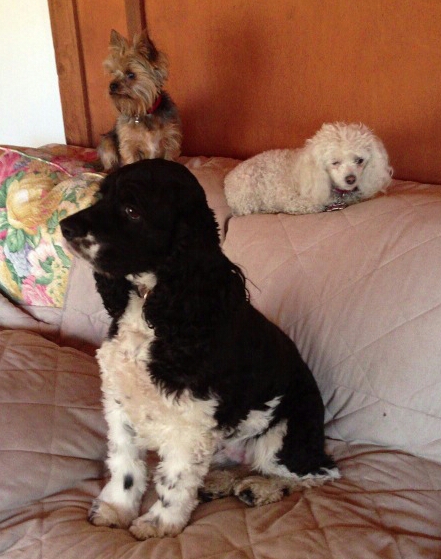 ??????????????????????????????????????????????????????????