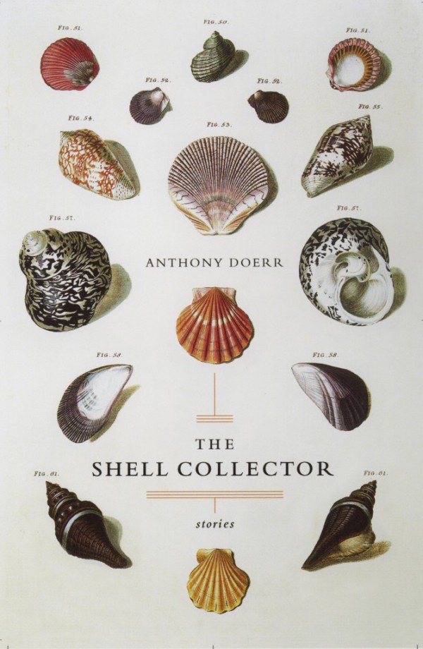 shell_collector